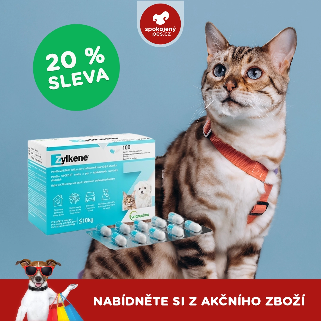cat zylkene.webp